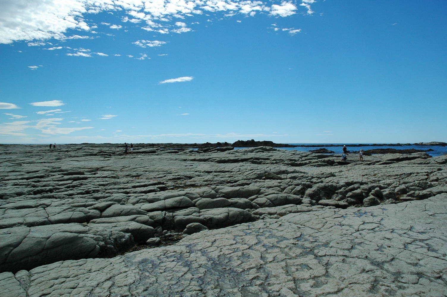 228   31 01   Kaikoura